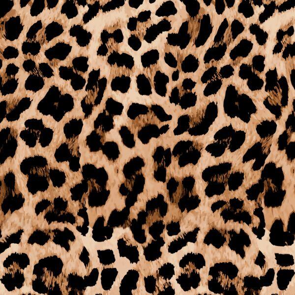 Tecido Tricoline Digital Animal Print Tecido Tricoline Digital Animal Print