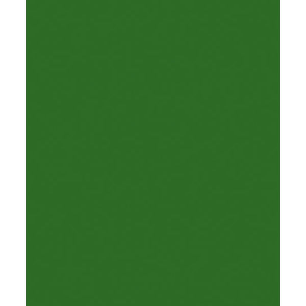 342599_cor_1545___FLORESTA