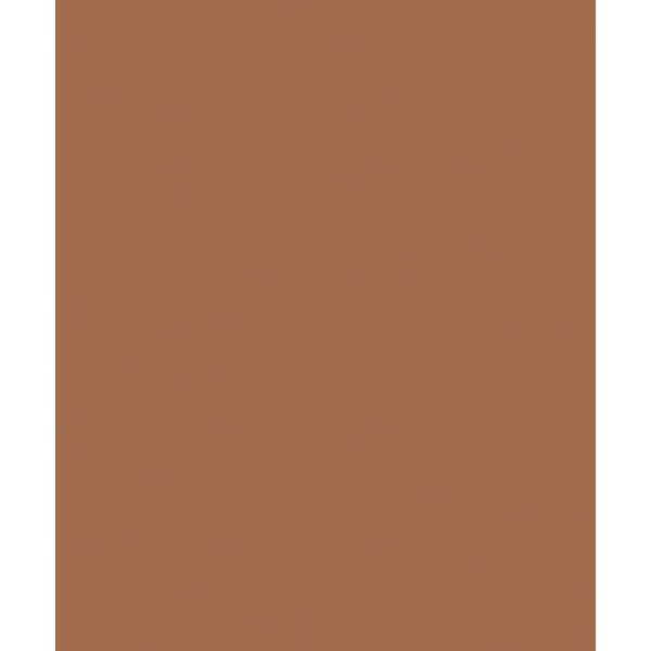 342599_cor_1563___CASTOR