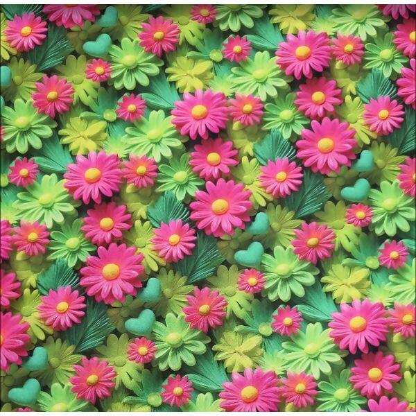 imagem_2025-05-17_123408778