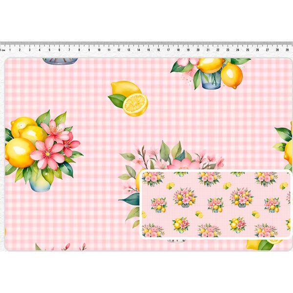 imagem_2025-08-23_110732685