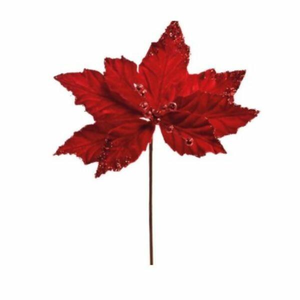 imagem_2025-09-11_143618036