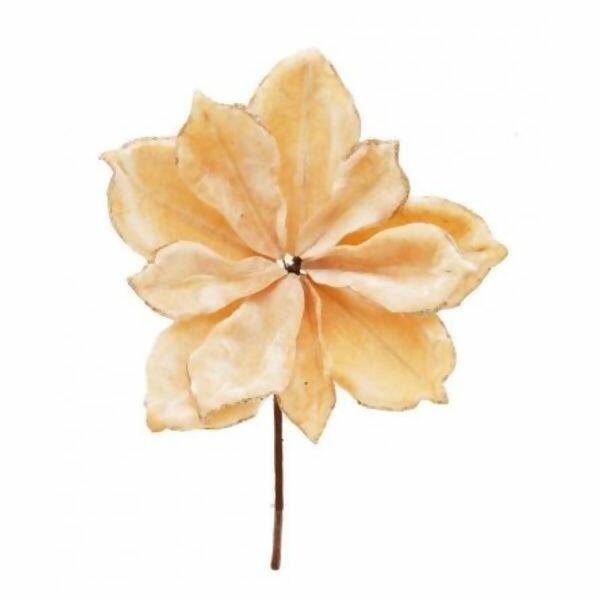 imagem_2025-09-11_143955925