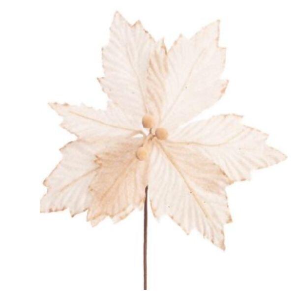 imagem_2025-09-11_144756004