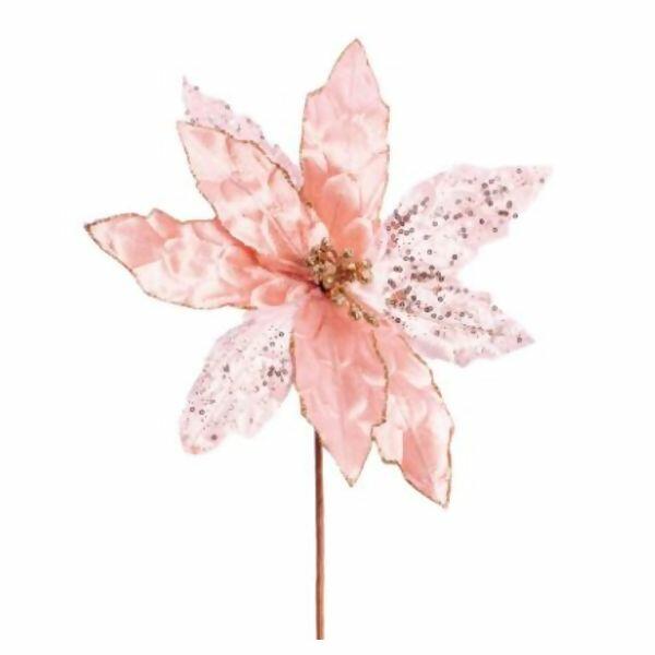 imagem_2025-09-11_144832890