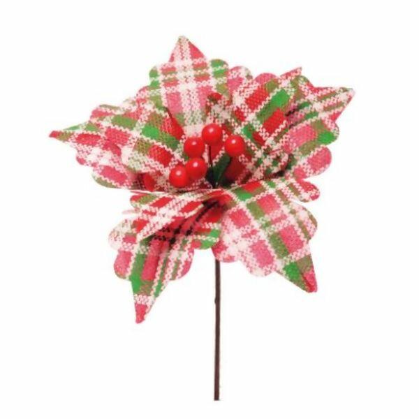 imagem_2025-09-11_144926355