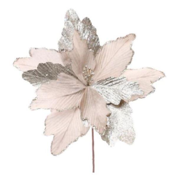 imagem_2025-09-11_145317011