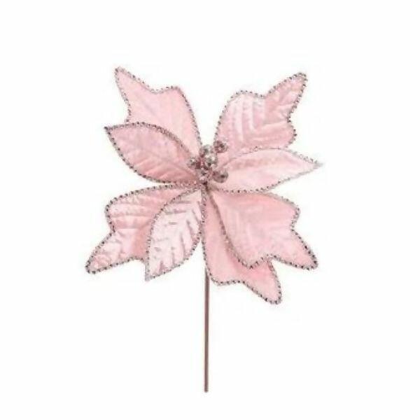 imagem_2025-09-11_150619451