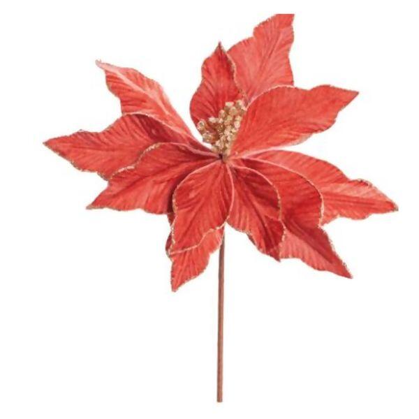 imagem_2025-09-11_150822411