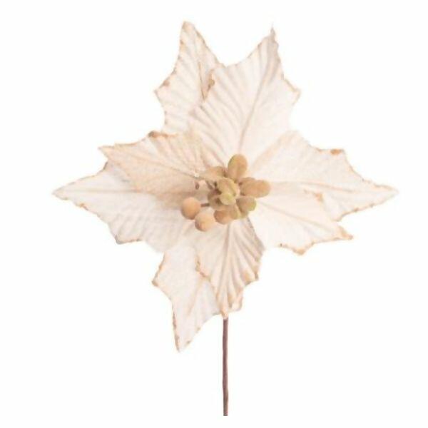 imagem_2025-09-11_151333521