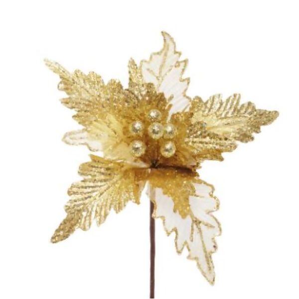 imagem_2025-09-11_151359112