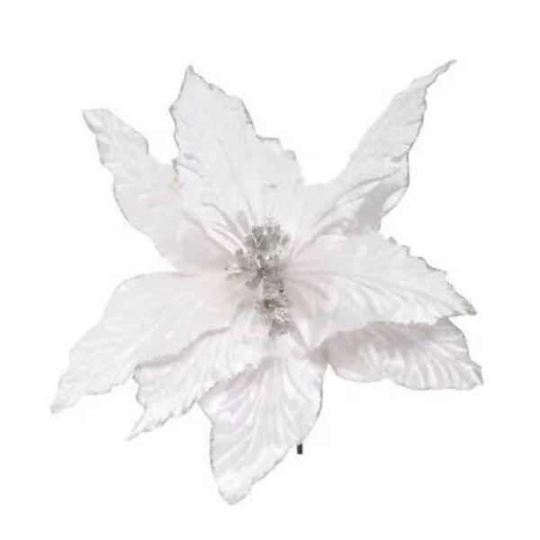 imagem_2025-09-11_152141506