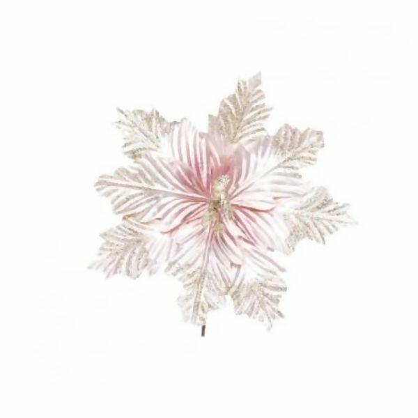 imagem_2025-09-11_152307237