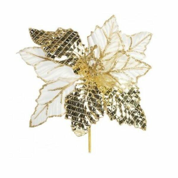 imagem_2025-09-11_152419091