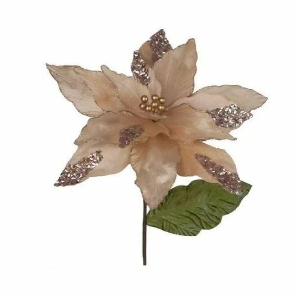 imagem_2025-09-11_152634403