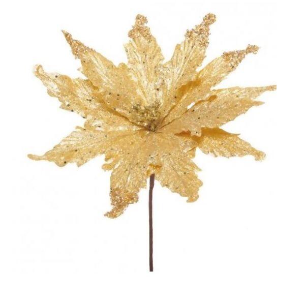 imagem_2025-09-11_152736070