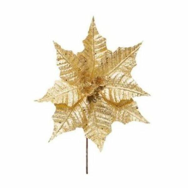 imagem_2025-09-11_152931877