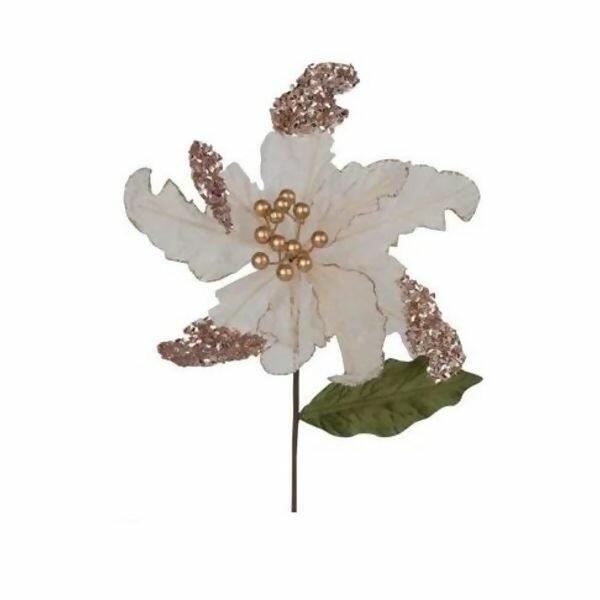 imagem_2025-09-11_153009202