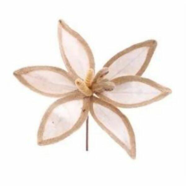 imagem_2025-09-11_153043999