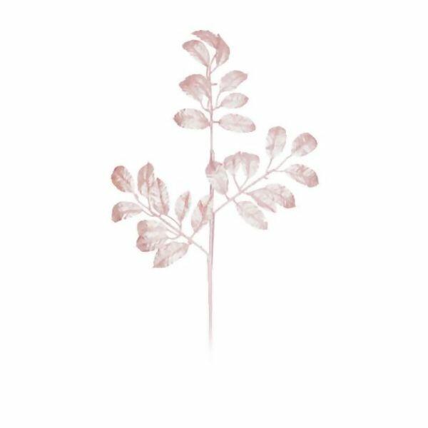 imagem_2025-09-11_164504333