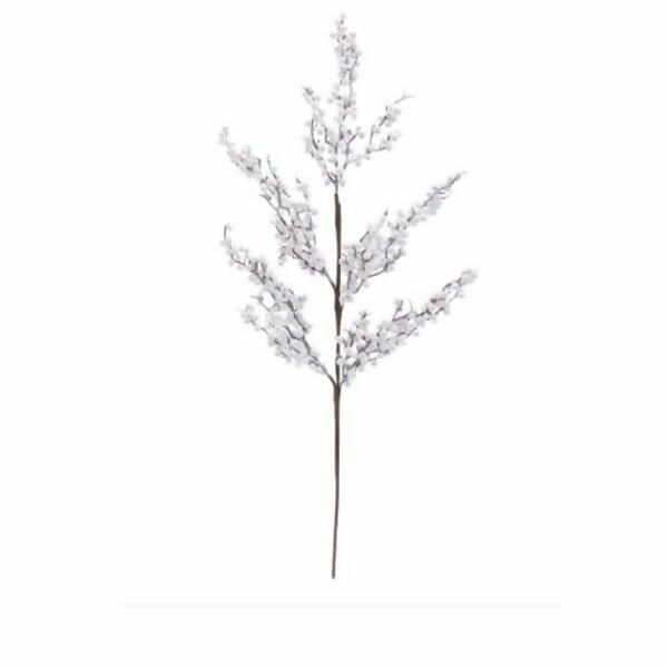 imagem_2025-09-11_164807522