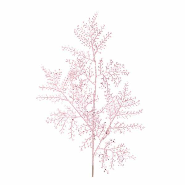 imagem_2025-09-11_164926352