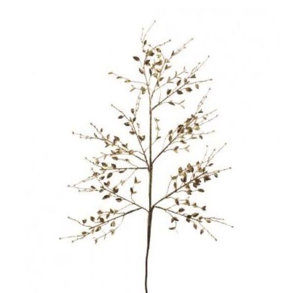 imagem_2025-09-12_095748337