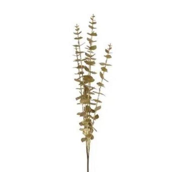 imagem_2025-09-12_095839364