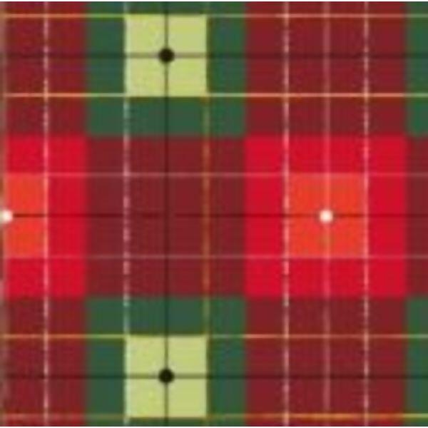 imagem_2025-10-06_121046379