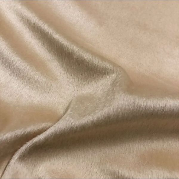 imagem_2025-12-02_154007054