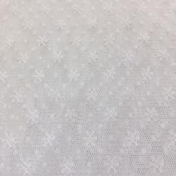 095527