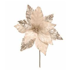 imagem_2025-09-11_144152449