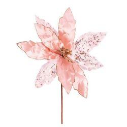 imagem_2025-09-11_144832890