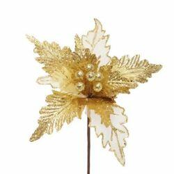 imagem_2025-09-11_151359112