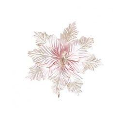 imagem_2025-09-11_152307237