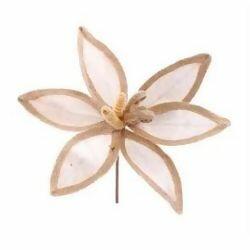 imagem_2025-09-11_153043999