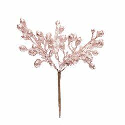 imagem_2025-09-11_160440840