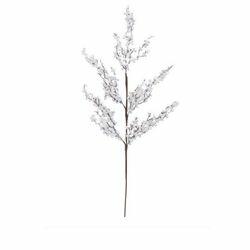 imagem_2025-09-11_164807522