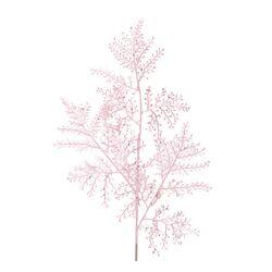 imagem_2025-09-11_164926352