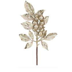 imagem_2025-09-12_095335446