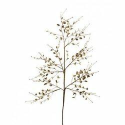 imagem_2025-09-12_095748337