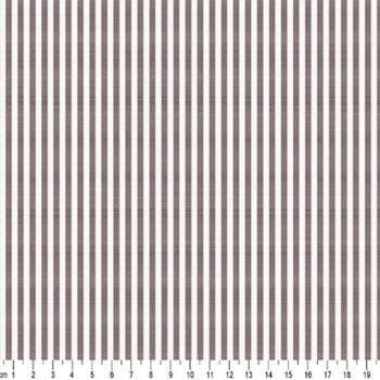 172520