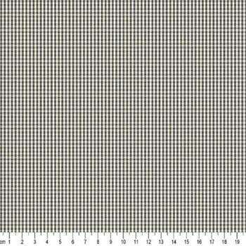 172523