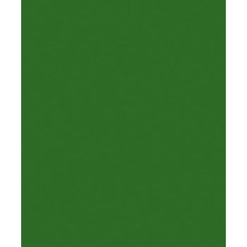 342599_cor_1545___FLORESTA