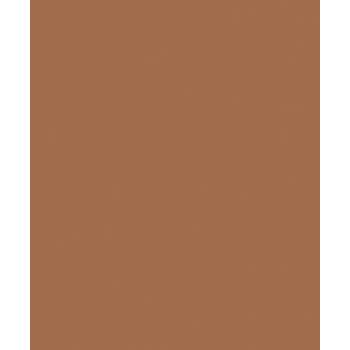 342599_cor_1563___CASTOR