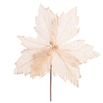 imagem_2025-09-11_144756004