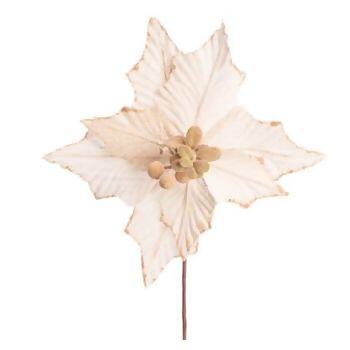 imagem_2025-09-11_151333521