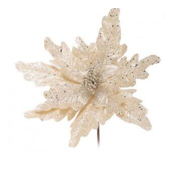 imagem_2025-09-11_152235919