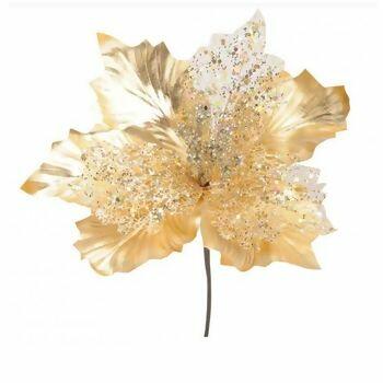 imagem_2025-09-11_152337294