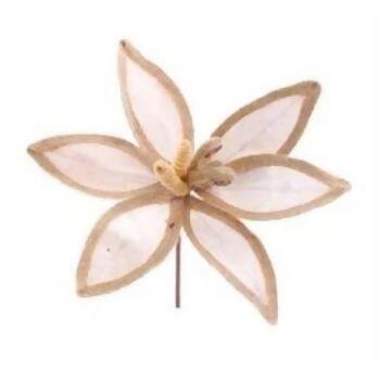 imagem_2025-09-11_153043999